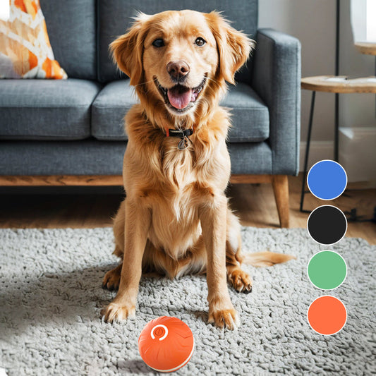 Smart Rechargeable Interactive Ball Toy for Dog