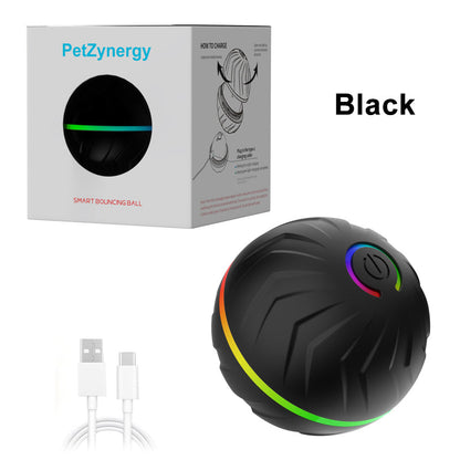 Smart Rechargeable Interactive Ball Toy for Dog